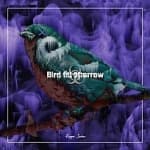 조류독감 참새 2